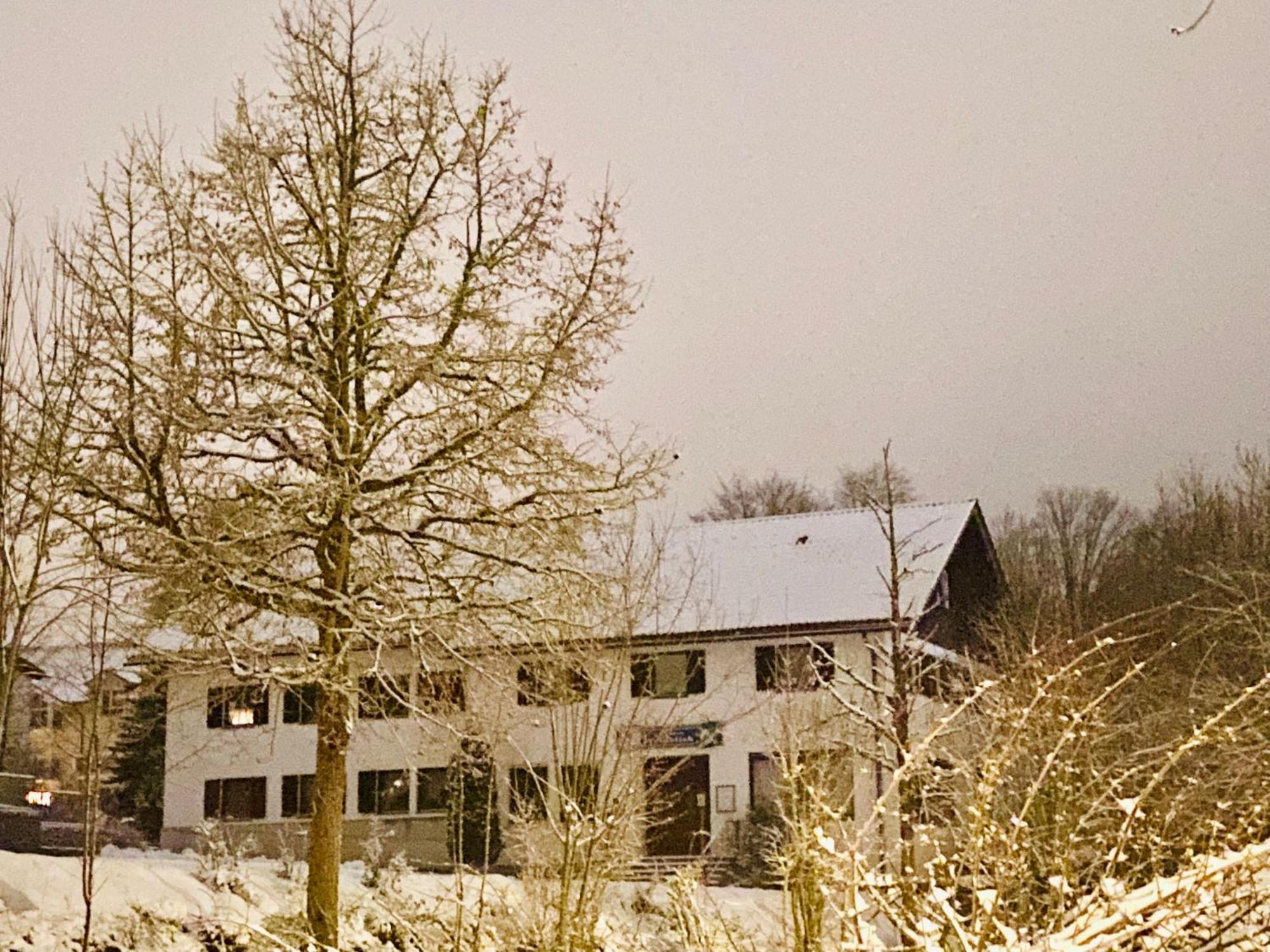 Pension Waldblick Spiegelau Eksteriør billede
